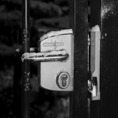 Didelis pramoninis užraktas 30–50 mm 4