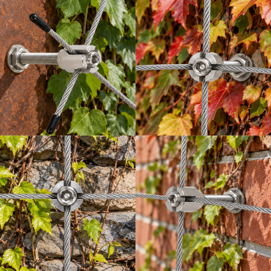 Climbing Plant Cable Holder 3 Climbing Plant Cable Holder 3