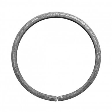 Žiedas 12×6/ 100mm